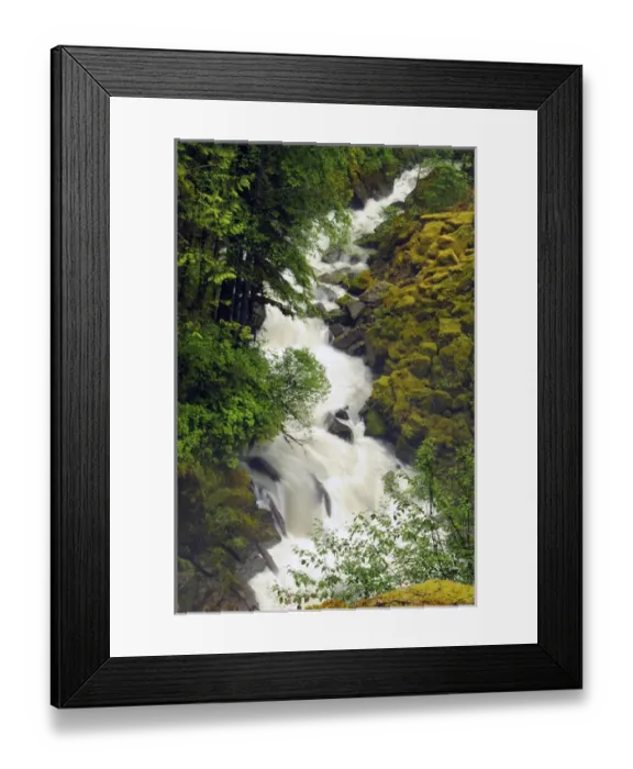 Framed Print : Wells Creek; Mount Baker-Snoqualmie National Forest; Washington; USA Framed Print : Wells Creek; Mount Baker-Snoqualmie National Forest; Washington; USA