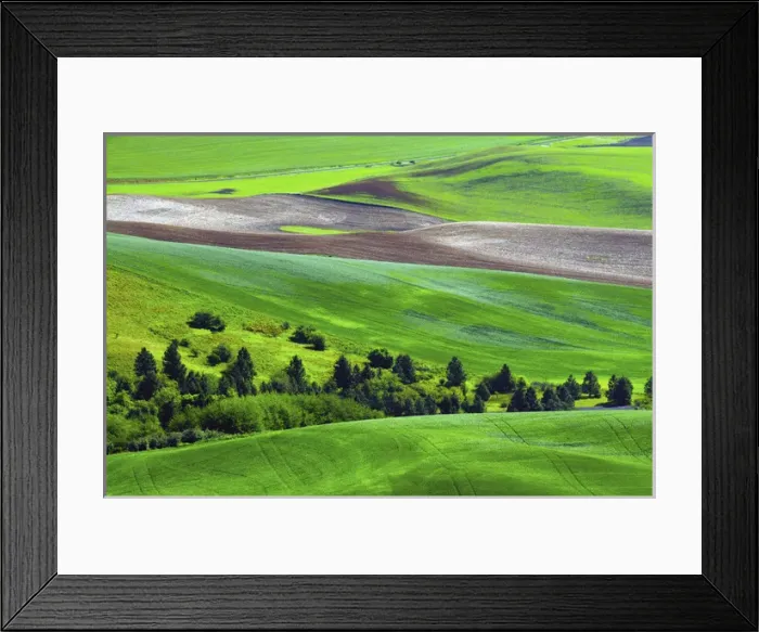 Framed Print : Palouse; Steptoe Butte; Cultivation; Patterns; Whitman County; Washington