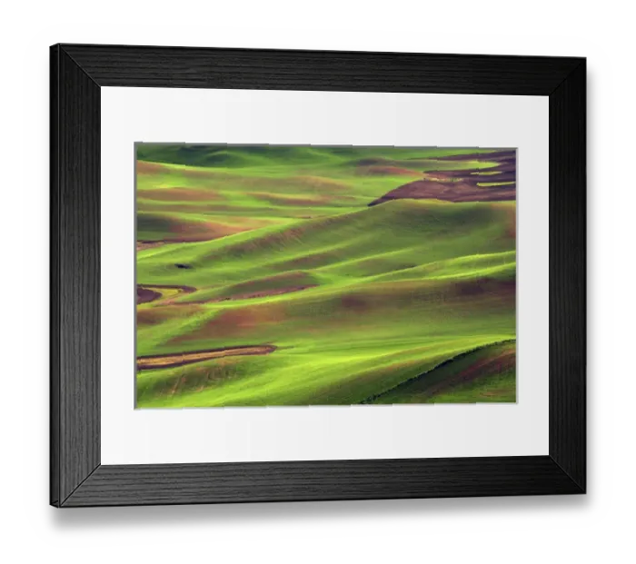 Framed Print : Palouse from Steptoe Butte of Cultivation Patterns, Whitman County, Washington, USA Framed Print : Palouse from Steptoe Butte of Cultivation Patterns, Whitman County, Washington, USA