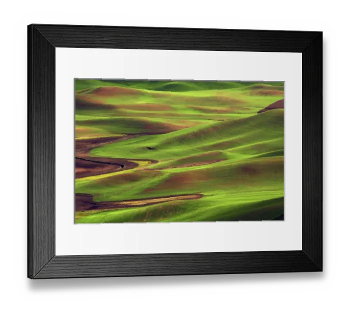 Framed Print : Palouse from Steptoe Butte of Cultivation Patterns; Whitman County; Washington, USA