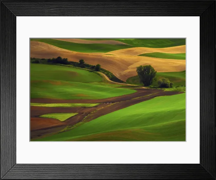 Framed Print : View of Palouse Cultivation Patterns from Steptoe Butte, Whitman County, Washington, USA Framed Print : View of Palouse Cultivation Patterns from Steptoe Butte, Whitman County, Washington, USA
