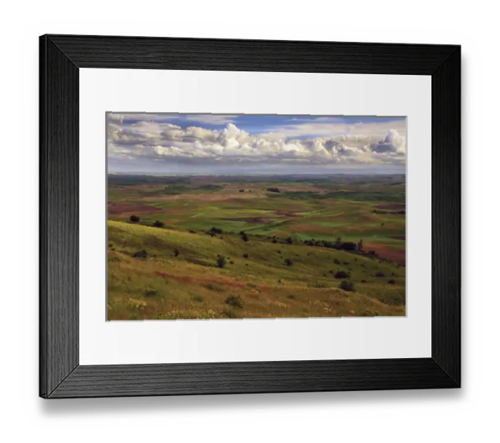 Framed Print : View of Palouse from Steptoe Butte of Cultivation Patterns; Whitman County; Washington Framed Print : View of Palouse from Steptoe Butte of Cultivation Patterns; Whitman County; Washington
