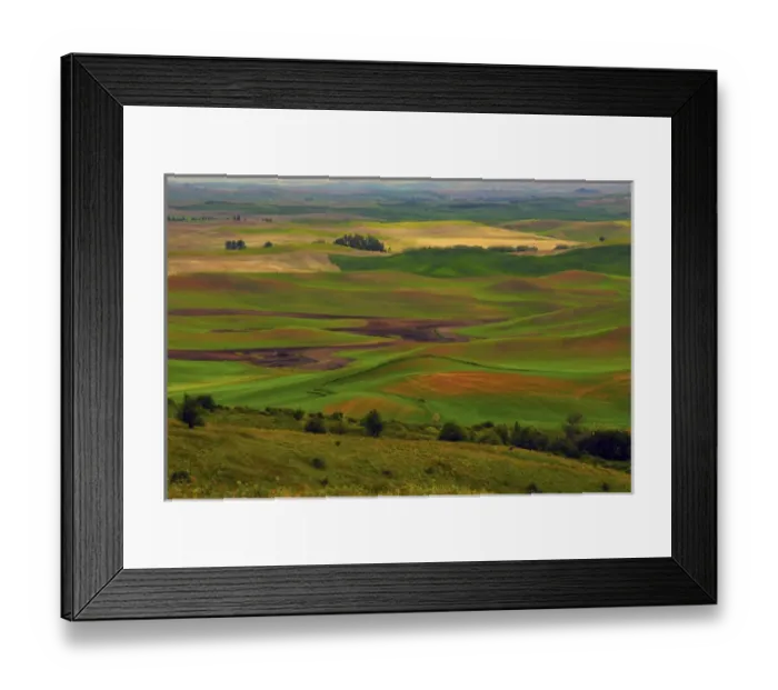 Framed Print : Palouse view from Steptoe Butte of Cultivation Patterns; Whitman County; Washington