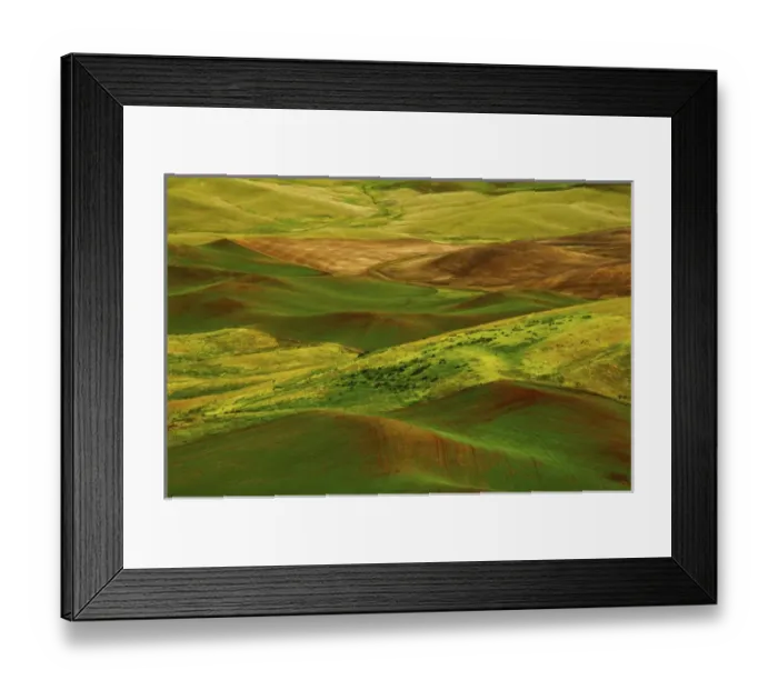 Framed Print : Palouse view from Steptoe Butte of Cultivation Patterns; Whitman County; Washington Framed Print : Palouse view from Steptoe Butte of Cultivation Patterns; Whitman County; Washington