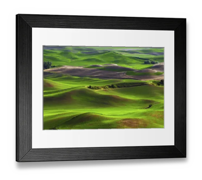 Framed Print : Palouse view from Steptoe Butte of Cultivation Patterns; Whitman County; Washington Framed Print : Palouse view from Steptoe Butte of Cultivation Patterns; Whitman County; Washington