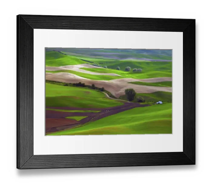 Framed Print : Palouse view from Steptoe Butte of Cultivation Patterns; Whitman County; Washington