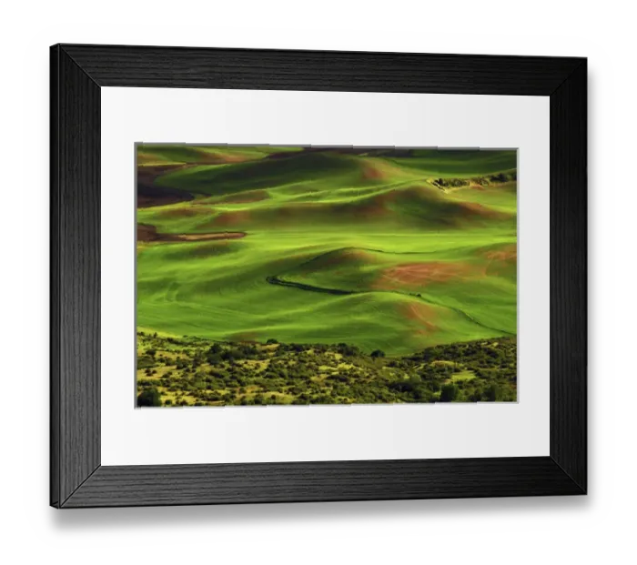 Framed Print : View of Palouse from Steptoe Butte of Cultivation Patterns, Whitman County; Washington Framed Print : View of Palouse from Steptoe Butte of Cultivation Patterns, Whitman County; Washington