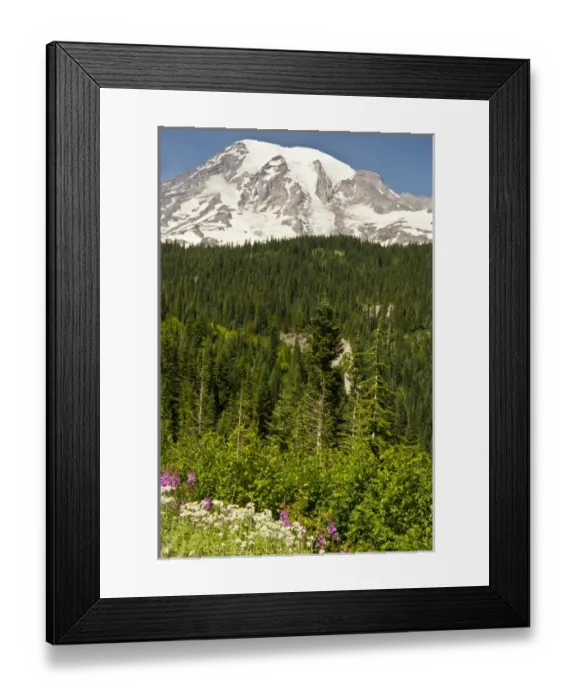 Framed Print : Mount Rainier, Reflection Lakes area, mount Rainier National Park, Washington, USA