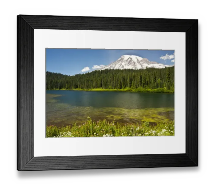 Framed Print : Mount Rainier, Reflection Lakes, Mount Rainier National Park, Washington, USA Framed Print : Mount Rainier, Reflection Lakes, Mount Rainier National Park, Washington, USA