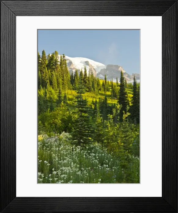 Framed Print : Mount Rainier, from Paradise, Mount Rainier National Park, Washington, USA Framed Print : Mount Rainier, from Paradise, Mount Rainier National Park, Washington, USA