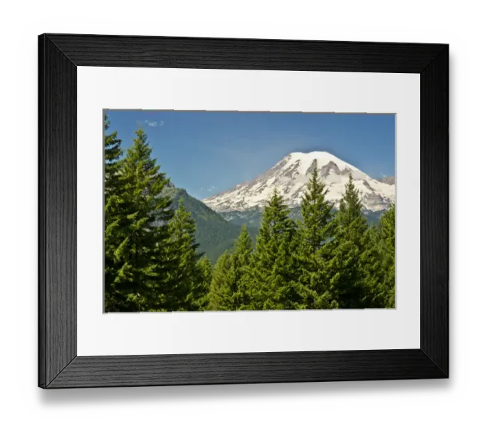 Framed Print : Mount Rainier, snow coverered, road to Paradise, Mount Rainier National Park, Washington Framed Print : Mount Rainier, snow coverered, road to Paradise, Mount Rainier National Park, Washington