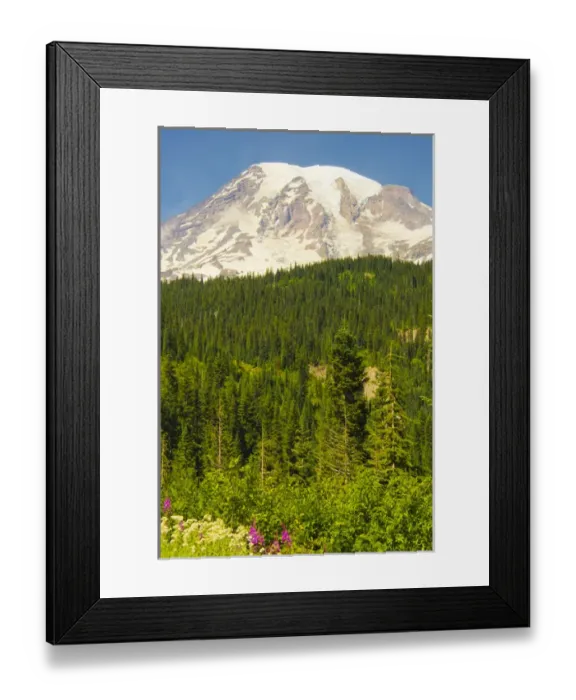 Framed Print : Mount Rainier and Wildflowers, Louise Lake Area, Mount Rainier National Park, Washington Framed Print : Mount Rainier and Wildflowers, Louise Lake Area, Mount Rainier National Park, Washington