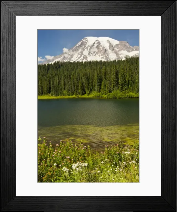 Framed Print : Mount Rainier and Reflection Lake; Mount Rainier National Park; Washington; USA Framed Print : Mount Rainier and Reflection Lake; Mount Rainier National Park; Washington; USA
