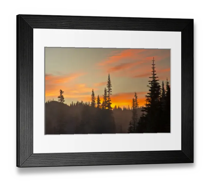 Framed Print : Foggy Sunrise; Reflection Lakes Area; Mount Rainier National Park; Washington; USA