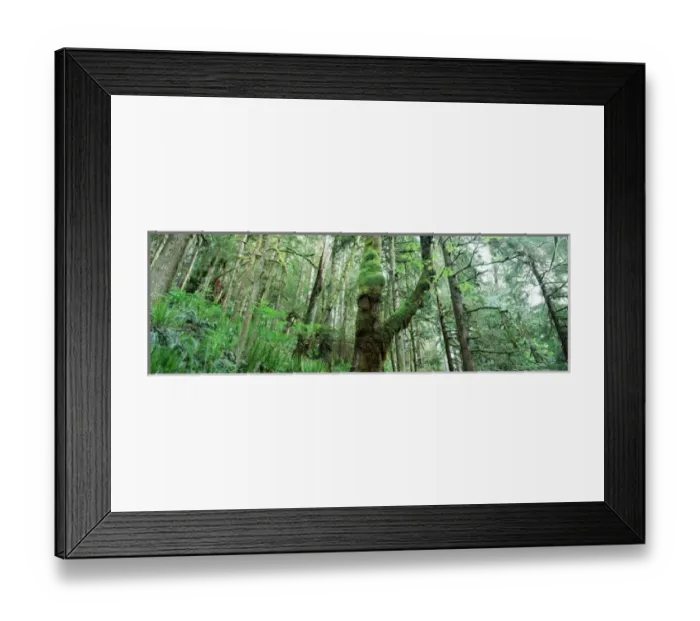 Framed Print : USA, Washington State, Olympic Peninsula, Olympic National Park, Big Quilcene River Framed Print : USA, Washington State, Olympic Peninsula, Olympic National Park, Big Quilcene River