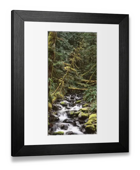 Framed Print : USA, Washington State, Olympic Peninsula, Olympic National Park, Stream flowing through Framed Print : USA, Washington State, Olympic Peninsula, Olympic National Park, Stream flowing through