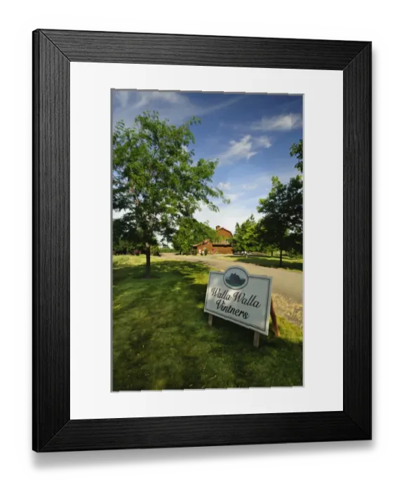 Framed Print : USA, Washington, Walla Walla. The vineyards of Walla Walla Vintners Framed Print : USA, Washington, Walla Walla. The vineyards of Walla Walla Vintners
