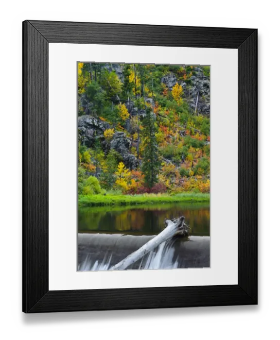 Framed Print : USA, Washington, Wenatchee. Fall color along the Wenatchee River near Leavenworth Framed Print : USA, Washington, Wenatchee. Fall color along the Wenatchee River near Leavenworth