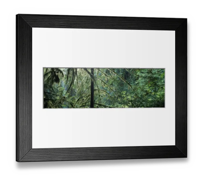 Framed Print : USA, Washington State, Olympic Peninsula, Olympic National Park, Hoh Rainforest Framed Print : USA, Washington State, Olympic Peninsula, Olympic National Park, Hoh Rainforest