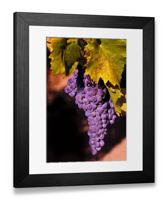 Framed Print : USA, Northwest, Eastern Washington Framed Print : USA, Northwest, Eastern Washington