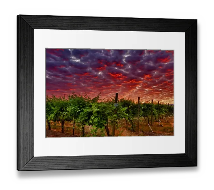 Framed Print : USA, Washington, Walla Walla. Scenes from wine country Framed Print : USA, Washington, Walla Walla. Scenes from wine country
