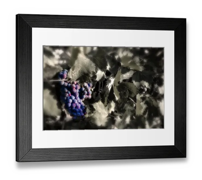 Framed Print : USA, Washington, Outlook, Rattlesnake Hills AVA