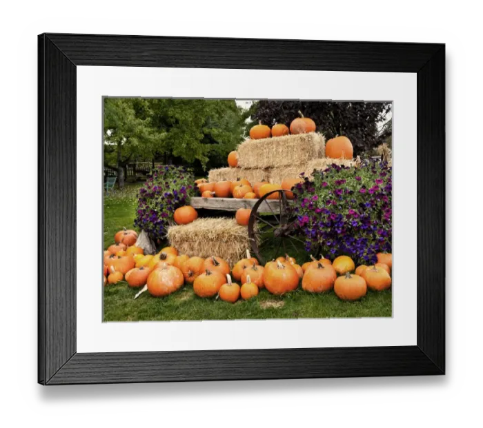Framed Print : USA, Washington, Leavenworth. Located in Peshastin, WA, near Leavenworth, Prey s
