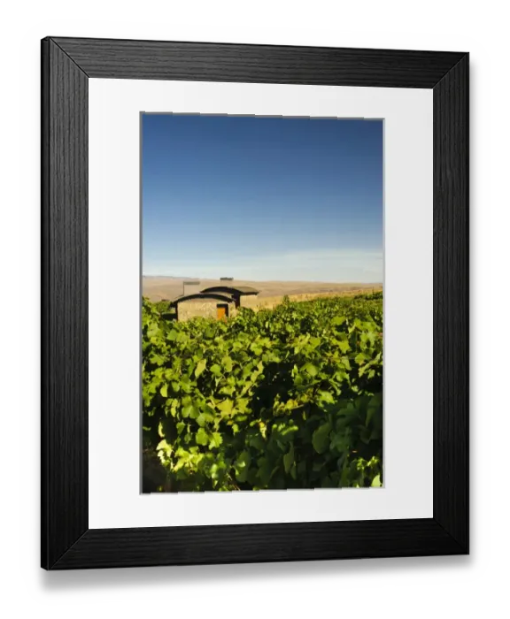 Framed Print : USA, Washington, Columbia Valley. Cave B Estate Winery is an award-winning boutique Framed Print : USA, Washington, Columbia Valley. Cave B Estate Winery is an award-winning boutique