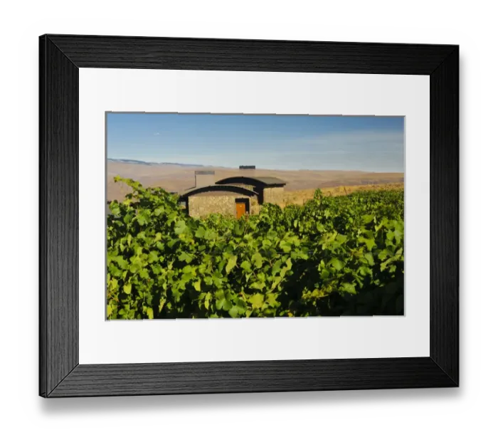 Framed Print : USA, Washington, Columbia Valley. Cave B Estate Winery is an award-winning boutique Framed Print : USA, Washington, Columbia Valley. Cave B Estate Winery is an award-winning boutique