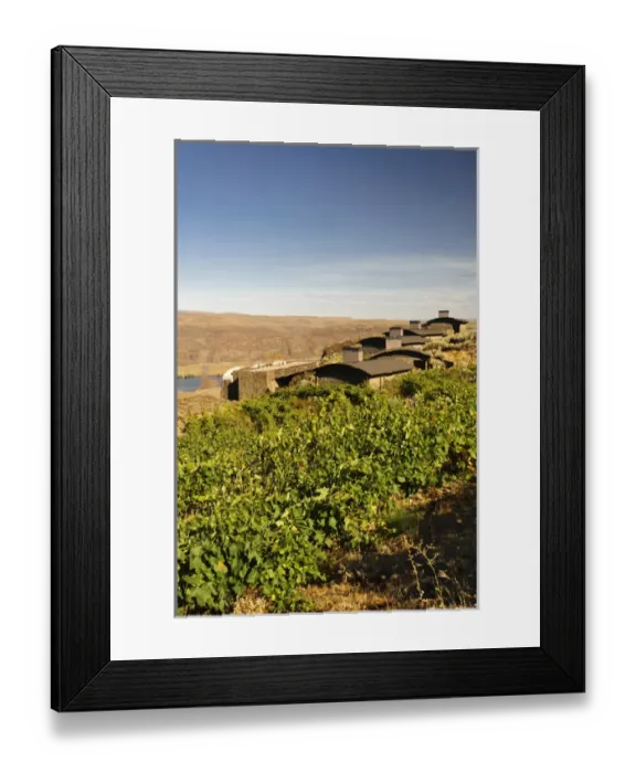 Framed Print : USA, Washington, Columbia Valley. Cave B Estate Winery is an award-winning boutique Framed Print : USA, Washington, Columbia Valley. Cave B Estate Winery is an award-winning boutique