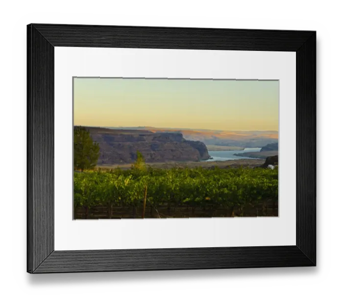 Framed Print : USA, Washington, Columbia Valley. Dawn on the Cave B Estate Winery, an award-winning Framed Print : USA, Washington, Columbia Valley. Dawn on the Cave B Estate Winery, an award-winning