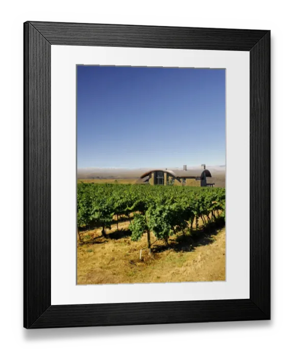 Framed Print : USA, Washington, Columbia Valley. Cave B Estate Winery is an award-winning boutique Framed Print : USA, Washington, Columbia Valley. Cave B Estate Winery is an award-winning boutique