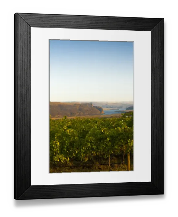 Framed Print : USA, Washington, Columbia Valley. Dawn on the Cave B Estate Winery, an award-winning