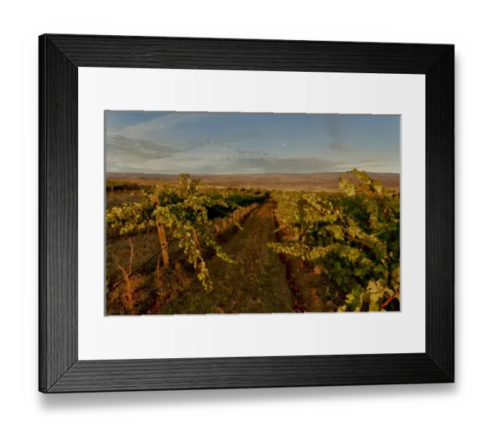 Framed Print : USA, Washington, Columbia Valley. Dawn on the Cave B Estate Winery, an award-winning Framed Print : USA, Washington, Columbia Valley. Dawn on the Cave B Estate Winery, an award-winning