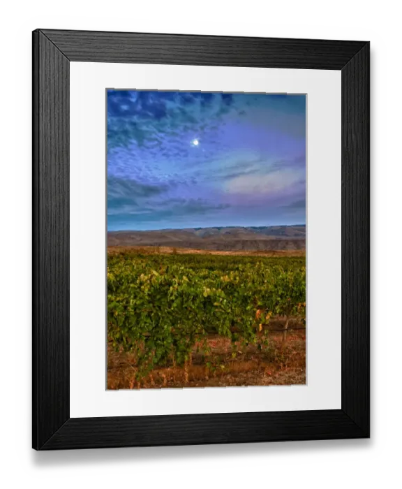 Framed Print : USA, Washington, Columbia Valley. Moon over the Cave B Estate Winery, an award-winning Framed Print : USA, Washington, Columbia Valley. Moon over the Cave B Estate Winery, an award-winning