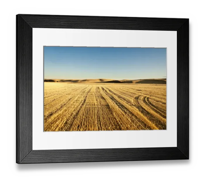 Framed Print : USA, Washington, The Palouse. Wheatfields of the Palouse photographed from a hot Framed Print : USA, Washington, The Palouse. Wheatfields of the Palouse photographed from a hot
