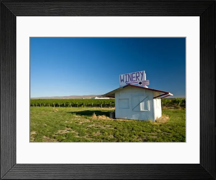 Framed Print : USA, Washington, Wahluke Slope AVA. The Wahluke Slope AVA produces grapes for many