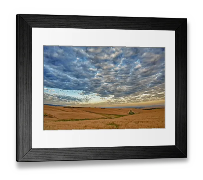Framed Print : USA, Washington, Walla Walla. Dawn breaks on a wheatfield in Walla Walla Framed Print : USA, Washington, Walla Walla. Dawn breaks on a wheatfield in Walla Walla