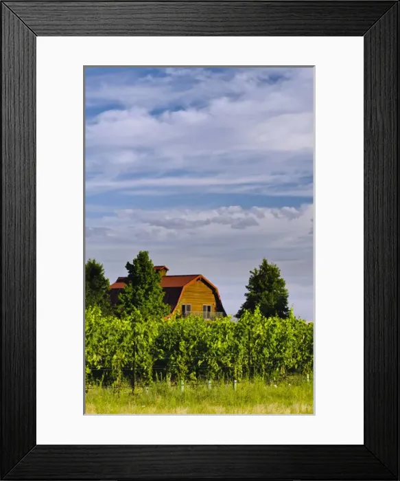 Framed Print : USA, Washington, Walla Walla. The tasting room of Walla Walla Vintners