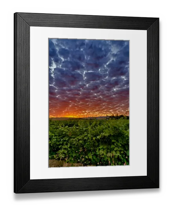 Framed Print : USA, WAShington, Walla Walla. Dawn breaks over the Abeja Winery in Walla Walla