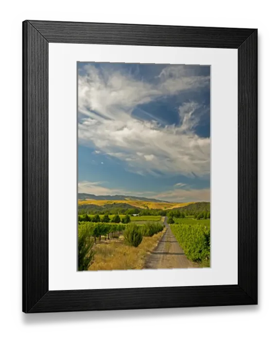 Framed Print : USA, Washington, Walla Walla. The vineyards of Walla Walla Vintners