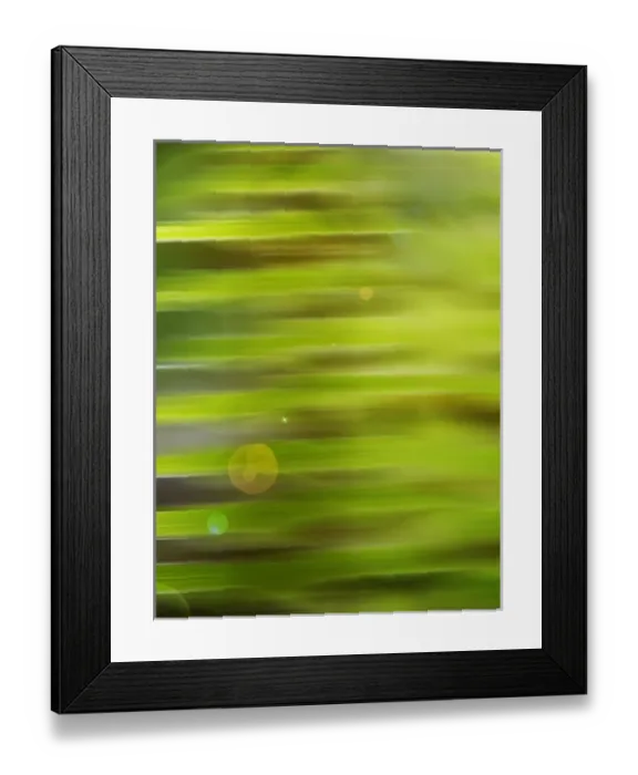 Framed Print : Fern abstract Framed Print : Fern abstract