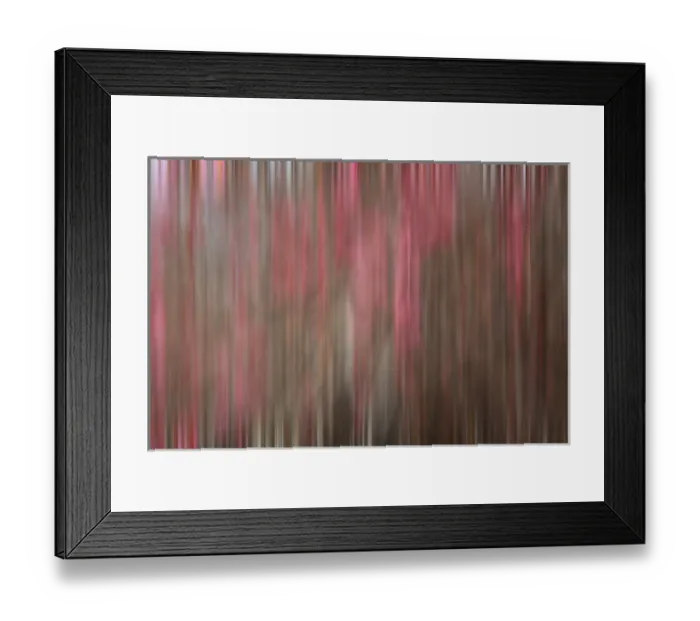 Framed Print : Crabapple Tree blossoms Framed Print : Crabapple Tree blossoms