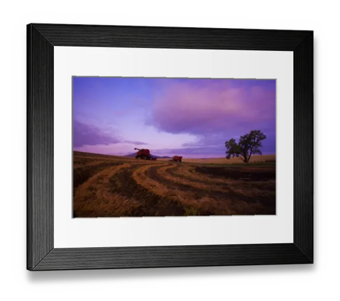 Framed Print : North America; Washington; Palouse Country