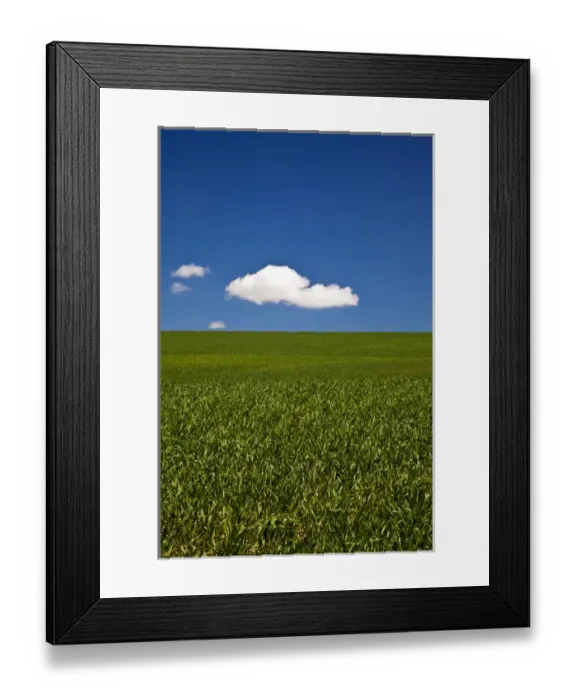 Framed Print : USA, Washington, Spring in Palouse Country Washington