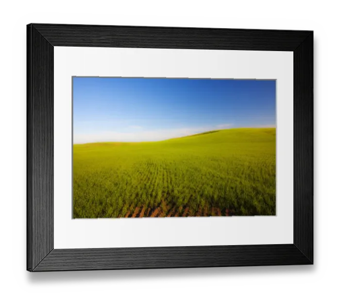Framed Print : USA, Washington, Spring in Palouse Country Washington