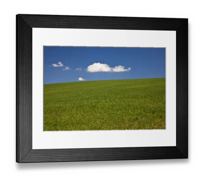 Framed Print : USA, Washington, Spring in Palouse Country Washington
