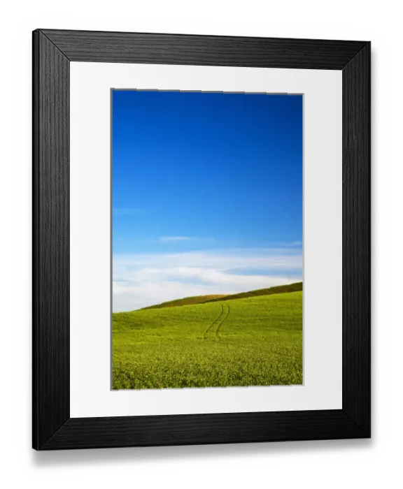 Framed Print : USA, Washington, Spring in Palouse Country Washington