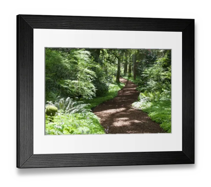 Framed Print : USA, WA, Bainbridge Island. Bloedel Reserve has hiking trails throughout its 250 acres