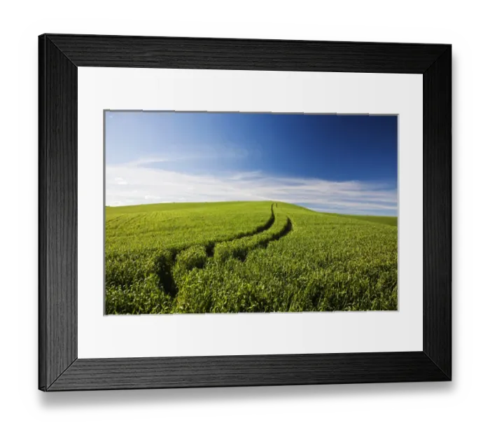 Framed Print : North America; USA; Washington; Palouse Country; Tracks Leading Through Wheat Field